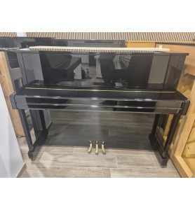 Photo Yamaha B2 (2019)
